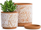 D'vine Dev Set of 2 Terracotta Pots, Leaf Pattern Planter Pot, 4 Inch and 6 Inch, Pot with Drainage Hole and Saucer, Terracotta/White, 31-958-T-1 by DvineDevPlanterPotsandStand