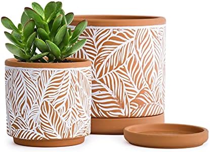 D'vine Dev Set of 2 Terracotta Pots, Leaf Pattern Planter Pot, 4 Inch and 6 Inch, Pot with Drainage Hole and Saucer, Terracotta/White, 31-958-T-1 by DvineDevPlanterPotsandStand