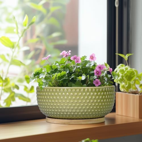 Bonsai Planter - 8 Inch Ceramic Succulent Pots with Drainage Hole and Saucer for Indoor Plants, Boho Shallow Round Planter Bowl, Desk Decor, Garden Lover Gifts, Green - Image 4
