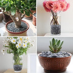 10lbs Grey Pebbles for Landscaping, 3/8inch Small Rocks for Succulent Cactus Plants, Natural Polished Pebbles, River Rocks for Plants, Vases, Garden - Image 4