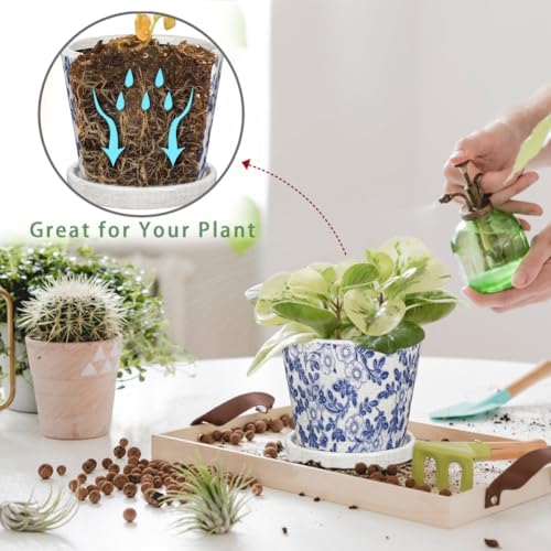 Ceramic Pot for Plants 5.5 inch Blue and White Pot for Plants Small Chinoiserie Planter Pots with Drainage Hole and Saucers Outdoor Inoor Blue Flower Pots for Succulent, Cactus, Snake Plant, Herb - Image 4