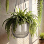 4 Pcs 6.5'' 4.5'' Hanging Self Watering Pot for Indoor Plant, Grey, Clear - Image 6