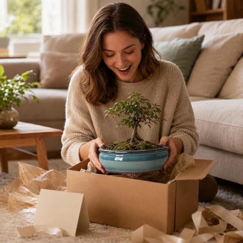 6" Ceramic Succulent Pots, Planters with Drainage Holes, 3 Pack - Image 7