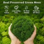 Preserved Reindeer Moss, Dark Green, 1.1 lb Real Moss for Crafts and Decor - Image 5