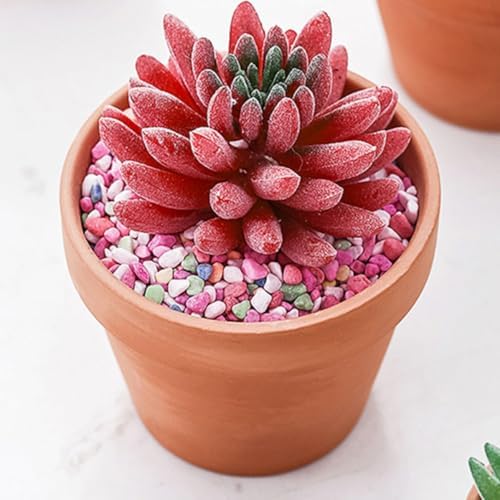 Baluue Xmas Ceramic Succulent Plant Pots 27pcs for Indoor Plants - Image 6
