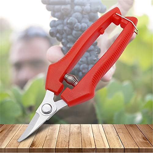 2 Packs Professional Pruning Shears, Garden Scissors,Bonsai Pruning Scissors Pruner Shears, for Trimming, Flowers, House Plants Shears - Image 4