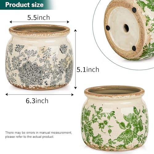 Sungmor 2 Pack Farmhouse Ceramic Planters, Tuscan Decor, Green & Grey - Image 5