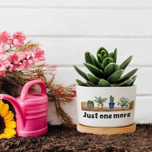 DreamAutumn Just One More Plant Ceramic Planters Pack of 3 Ceramic Pots with Saucers Orchid Pots for Plants Succulents Pots Home Office Desk Garden Balconys Decor,Gifts for Mom - Image 5