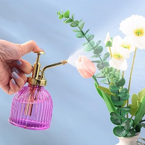 Maxdot 12Pcs Glass Plant Mister Spray Bottle 220ml, Mixed Sprayer - Image 4