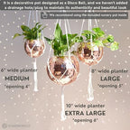 SCANDINORDICA Disco Ball Planter, Value Package, 6-inch Rose Gold - Image 5