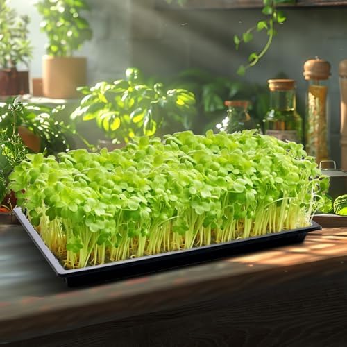 RooTrimmer 20 Pack Shallow 1020 Trays No Holes, Heavy Duty Reusable Seed Starter Flat Seedling Tray for 72/128 Cell Plug Tray, Transplant, Microgreen & Seed Germination (21"×11", 1.6" Deep, TD538) - Image 2