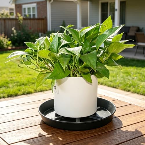 NIMYAU Large Plant Saucer 17 Inch 2 Pack, Thick Plastic Plant Tray for Big Planters, Heavy Duty Drip Tray for Outdoor Garden Flower Pot Saucers - Image 7