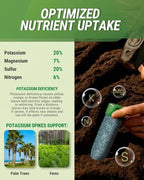 Lutz Corporation, Palm Tree Fertilization Spikes, Potassium 125 Pack - Image 3