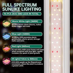 SZHLUX LED Grow Light 2FT Full Spectrum 2 Pack 80W (2×40W, 600W Equivalent) Sunlight Plant Light for Indoor Plants, Super Bright Grow Light Strips, Linkable Growing Light Fixture - Image 2