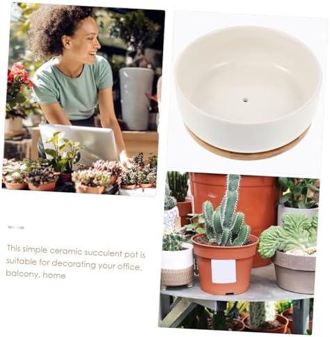 White Porcelain Succulent Pot with Drainage and Bamboo Tray Ceramic Planter Pot for Indoor and Outdoor Small Plants Herbs and Bonsai Flower Pot for Office and Home - Image 3