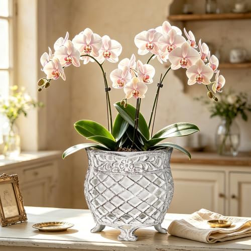 Sungmor Vintage Cast Iron Urn Planter with Non-Woven Bag, Vintage White - Image 5
