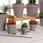Yishang 2 inch Grey Small Terracotta Pots with Drainage Holes,Mini Clay Ceramic Pottery Planter,Cactus Flower Nursery Terra Cotta Pots, for Indoor/Outdoor Succulent Plants, Crafts(80 Pack) - Image 6