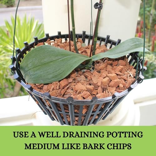 Set of 4 Large Black Strong Plastic Orchid Baskets 10 Inches Wide with Hangers for Orchids, Staghorn Ferns, Orchid Baskets for Outside, Plastic Orchid Pots with Holes - Image 6