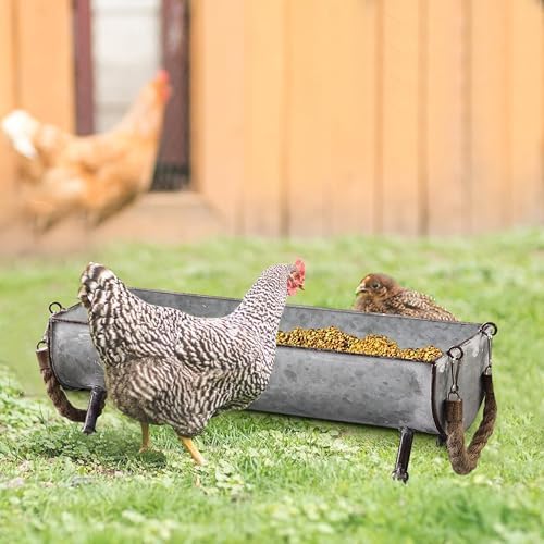 SOFE Poultry Feeder Galvanized Metal Chicken Feeder Set of 2 by SOFE