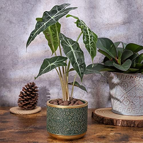 6 +4.4 Inch Cement Planter Decorative Pots with Drainage Hole for All House Plants, Succulents, Flowers, and Cactus (Green) - Image 3