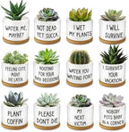12 Pcs Funny Succulent Pots with Bamboo Tray White Ceramic Aloe Cactus Plant Pots Funny Plant Pots for Women Coworker Employee by Rojuna