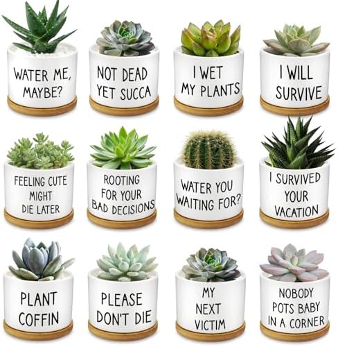 12 Pcs Funny Succulent Pots with Bamboo Tray White Ceramic Aloe Cactus Plant Pots Funny Plant Pots for Women Coworker Employee by Rojuna