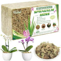 Halatool 3.3 LB Sphagnum Moss for Plants, 60 QT Long Fiber Orchid Moss by HALATOOL