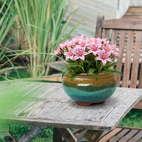 8 Inch Succulent Pot with Drainage and Saucer Glazed Terracotta Round Ceramic Succulent Planter Cactus Bonsai Plant Pot (Brown and Green) - Image 2