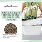 Lechuza Delta 20 Cream White High Gloss, Self-Watering Planter Indoor, H7.1 L15.7 W5.9 in - Image 6