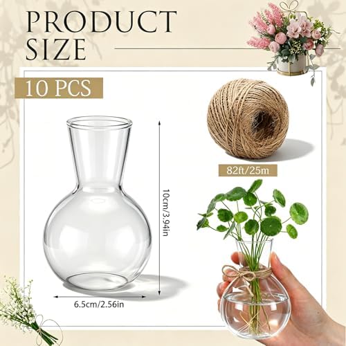 10 Pack Glass Plant Propagation Stations, Plant Terrarium Bulb Glass Propagation Vases with Hemp Rope, Clear Hydroponics Jars Gardening Gifts for Home Office Desk Decoration - Image 2