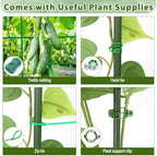 Cucumber Trellis for Garden, Upgrade U-Shaped Metal Garden Trellis Plant Grow Support Frame for Climbing Plants Vegetable Flower Fruits Vine Raised Bed with Netting, Instruction, Garden Tools, Green - Image 6