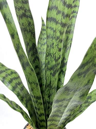 Bird Fiy Artificial Snake Plant 22.5" Faux Agave Fake Sansevieria Artificial Potted Plants for Indoor and Outdoor Home Office Décor - Image 2