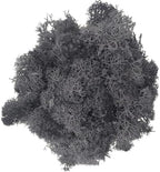 200g Artificial Moss for Crafts, Faux Decorative Plant for DIY Walls Wedding Party Table Centerpieces Home, Gray by LKXHarleya