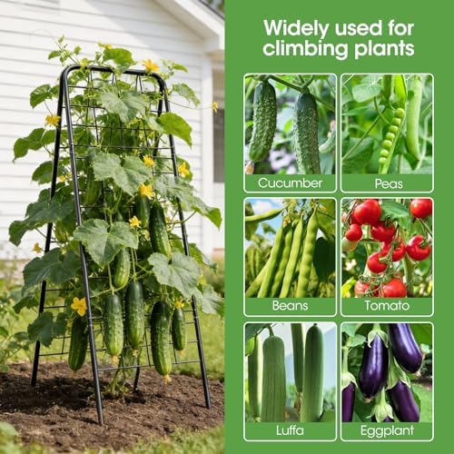 Heavy Duty Cucumber Trellis, 50" x 17" A-Frame Garden Trellis - Image 5