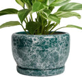 SQOWL 8 Inch Plant Pot - Ceramic Planter for Indoor Plants, Decorative Flower Pot with Drainage Hole and Saucer, Round Planter Outdoor, Room Patio Decor, Garden Gifts for Women, Green by SQOWL