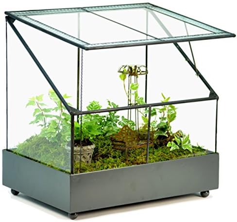 H Potter Terrarium Wardian Case Plant Container Succulent Planter Fairy Garden Display Case WAR153 by HPotter