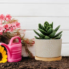 Brown Leopard Print Planters Ceramic African Animal Stripe Round Plant Pot with Drainage Holes and Bamboo Tray Pot for Succulents Cactus Garden Windowsill - Image 5