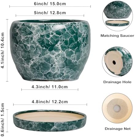 SQOWL Ceramic Pot for Plants - 6 Inch Ceramic Planter with Drainage Hole and Saucer, Round Flower Pot for Indoor Outdoor, Decorative Small Planter, Room Home Decor, Plant Lover Gifts, Green - Image 3