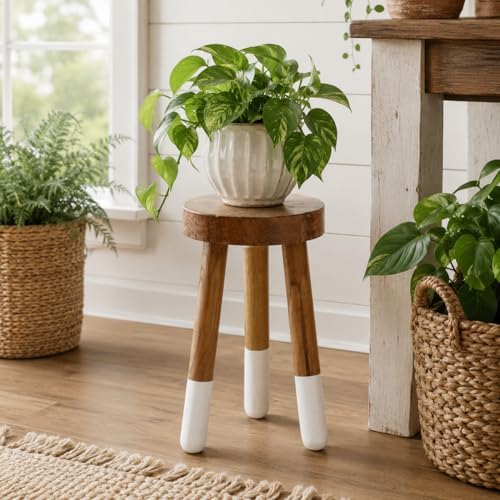 Teak 11.8" Round Dip Dyed Teak Stool | Wood Accent Side Table | Wood Plant Stand (20" Tall White) - Image 6