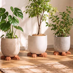 LemonRoad 12 Set Lion Paw Pot Feet for Outdoor Planters, Terra Cotta Cement - Image 6