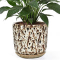 10 Inch Ceramic Plant Pot with Drainage Hole Mesh Net, Large Flower Pots for Indoor Plants with Saucer, Gardening Pots Outdoor by Unknown