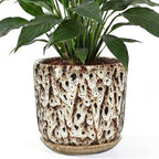 10 Inch Ceramic Plant Pot with Drainage Hole Mesh Net, Large Flower Pots for Indoor Plants with Saucer, Gardening Pots Outdoor by Unknown