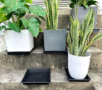 NIMYAU Square Plant Saucer 16 Inch 4 Pack, Plant Stand Plant Trays for Pots Heavy Duty Plastic Plant Saucers for Indoors Outdoors, Flower Pot No Holes Terracotta Plant Lover Gardening Gifts - Image 3
