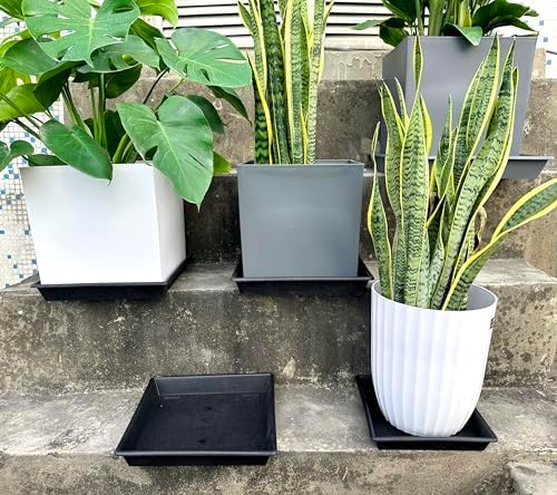 NIMYAU Square Plant Saucer 16 Inch 4 Pack, Plant Stand Plant Trays for Pots Heavy Duty Plastic Plant Saucers for Indoors Outdoors, Flower Pot No Holes Terracotta Plant Lover Gardening Gifts - Image 3