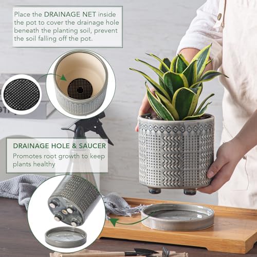 Indoor-Outdoor Ceramic Plant Pots: 6 Inch Flower Pots with Drainage Hole & Saucer - Decorative Ceramic Pots for Plants Herbs Succulents - Home Garden Patio Lawn Use - Image 3
