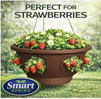 Ultimate Hanging Baskets - Strawberry, Tomato, Flower, and Herb Outdoor Planters - Use Garden Pots for Growing Plants Outside On A Deck, Fence, or Balcony (Mocha 2pk) - Image 4