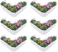 Anleolife 6-Bed 81x81in Heart-Shaped Raised Garden Beds, Antique White by AAnleolife