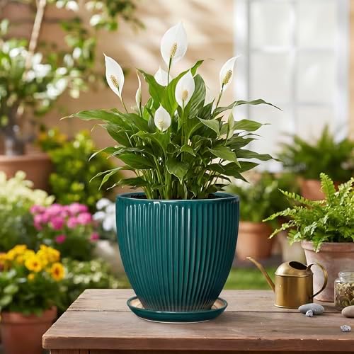 Ceramic Flower Pots, 6 Inch Planters with Saucer, Blackish Gree - Image 4