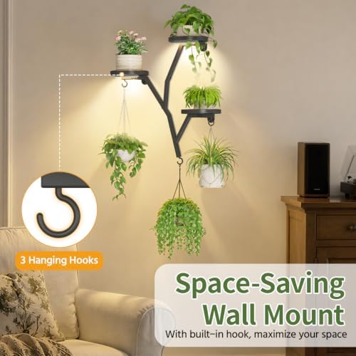 LASZOLA Plant Hanger Holder Wall Mounted Floating Shelf Indoor, Metal Black - Image 5