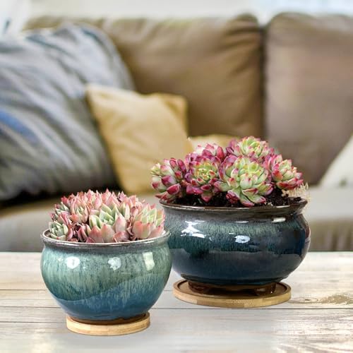 8 and 5.5 Inch Succulent Pot with Drainage and Saucer Glazed Terracotta Round Ceramic Succulent Planter Cactus Bonsai Plant Pot (White and Green) - Image 2
